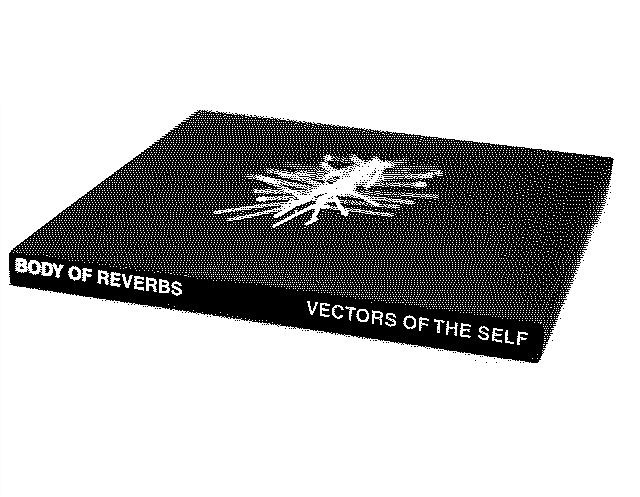 Vectors of the self